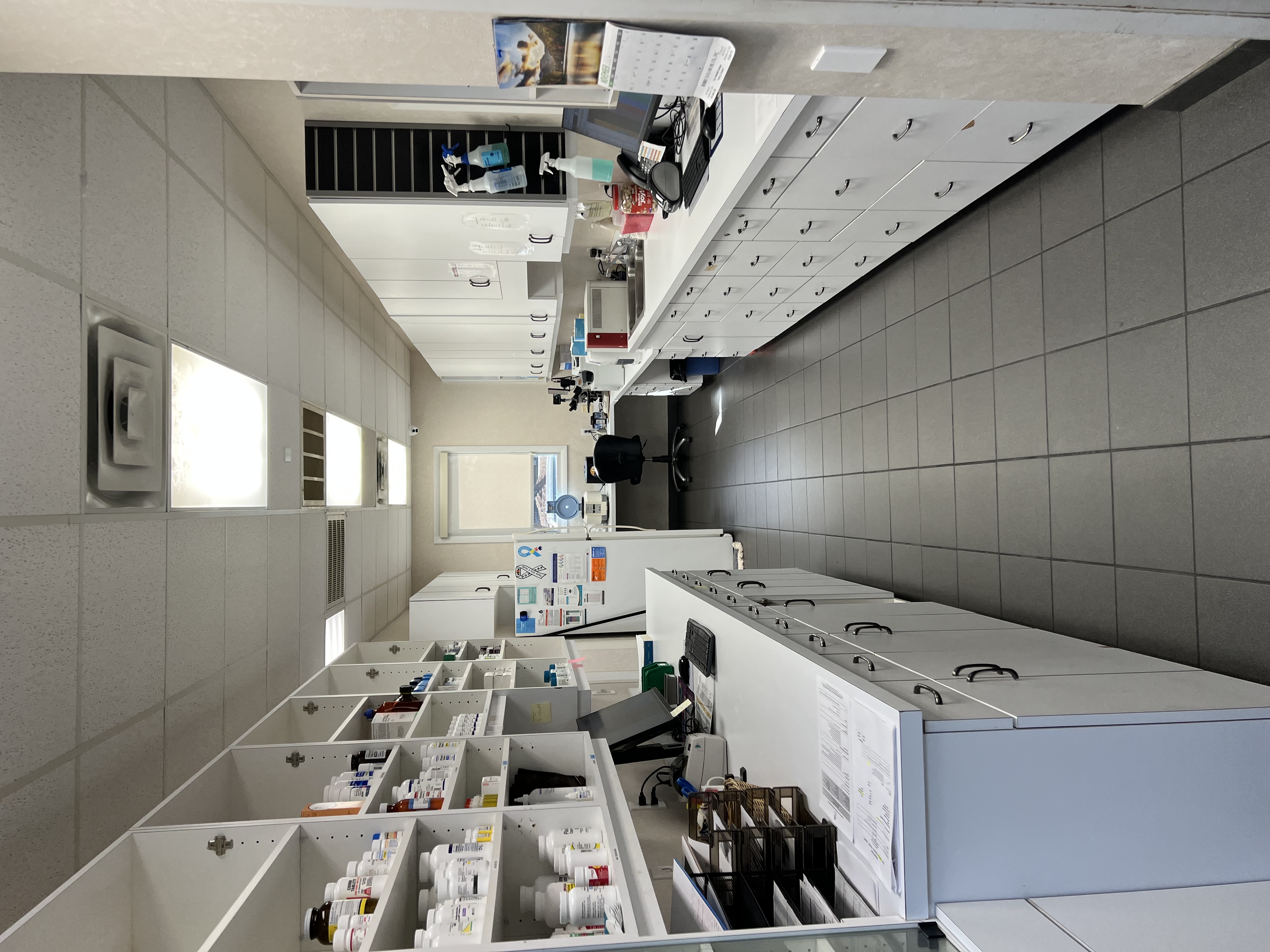 lab